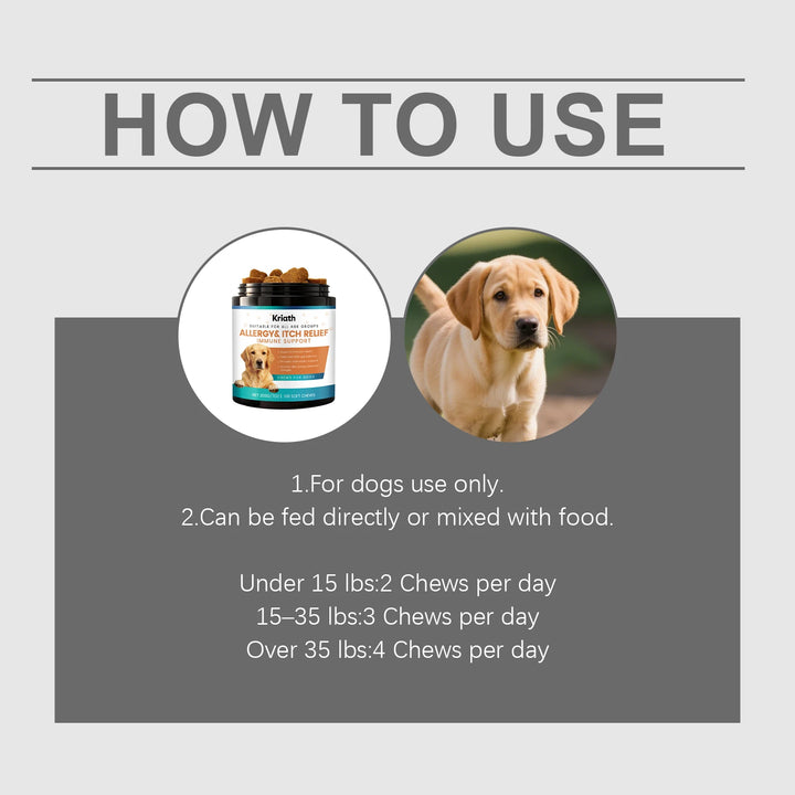 Dog Gut Support Soft Chews - Added Fiber Daily Care Maintains Intestinal Balance Supports Immunity Antioxidant Easy To Chew