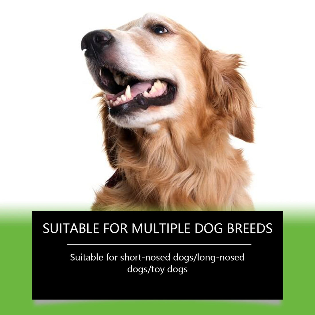 Yegbong 100g Dog Teeth Cleaning Powder | Gentle Tartar Remover, Bad Breath Freshener | Oral Odor Control & Gum Care for Dogs