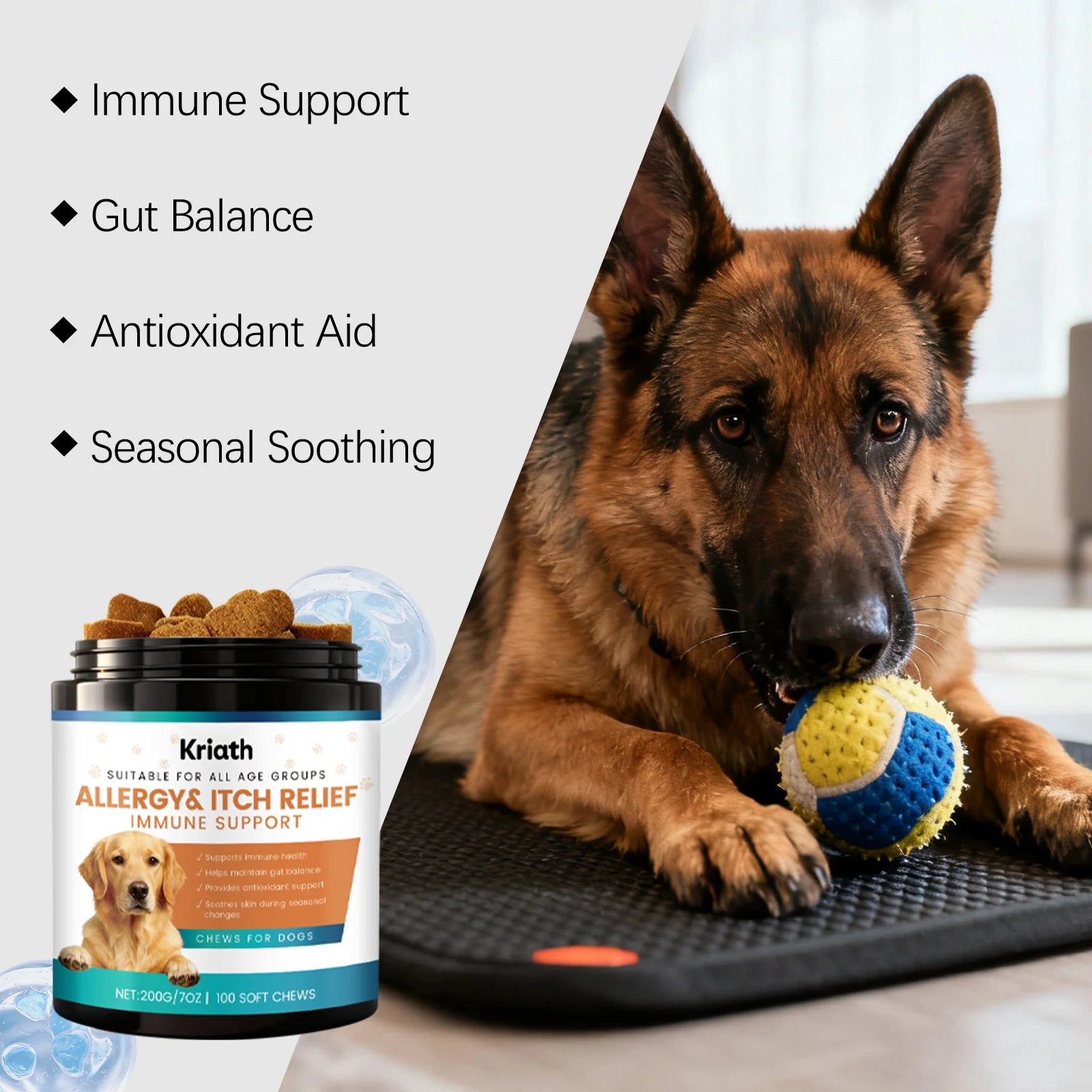 Dog Gut Support Soft Chews - Added Fiber Daily Care Maintains Intestinal Balance Supports Immunity Antioxidant Easy To Chew