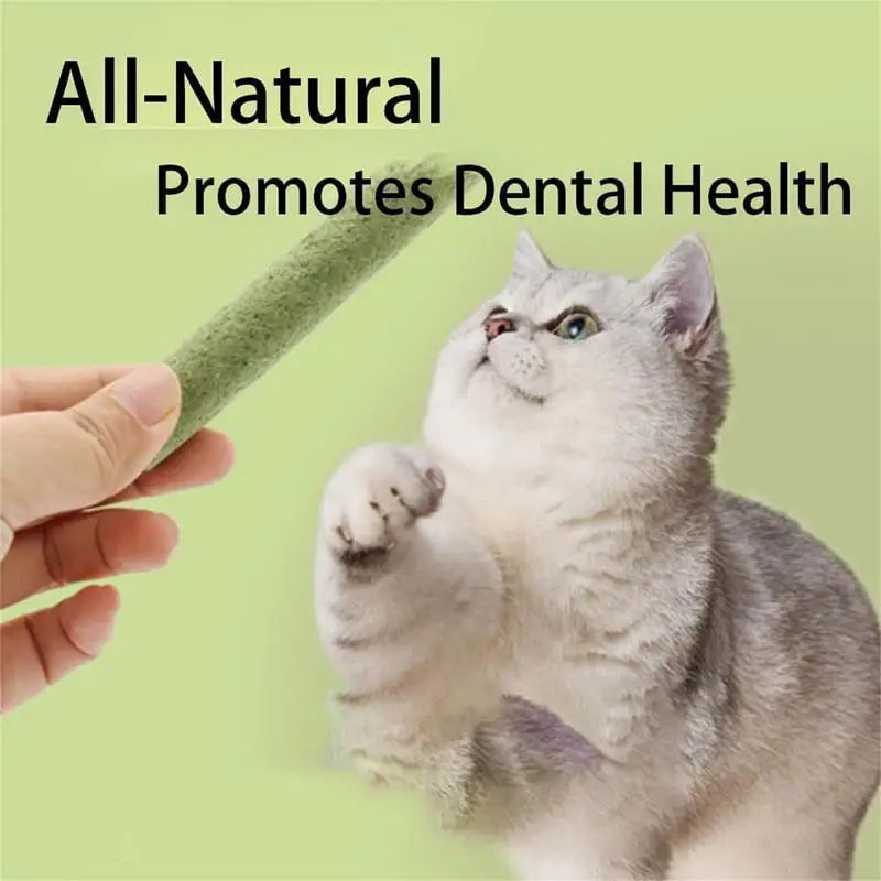Cat Grass Teeth Stick Kitten Cat Mouth Healthy Chew Toy Pet Snacks For Cat Kitten Cleaning Teeth Hairball Removal