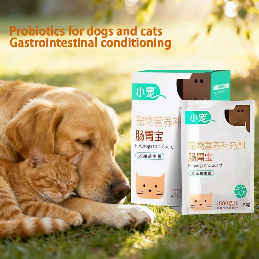 Gastrointestinal Bao Cat Probiotics Dog Gastrointestinal Conditioning Pet Puppy Conditioning Cat Special High Live Probiotics