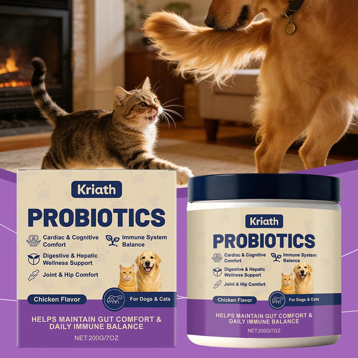 200g Probiotics Powder For Dogs Cats Digestive Supplement For Gut Health Chicken Flavour For Daily Well-Ness Routine