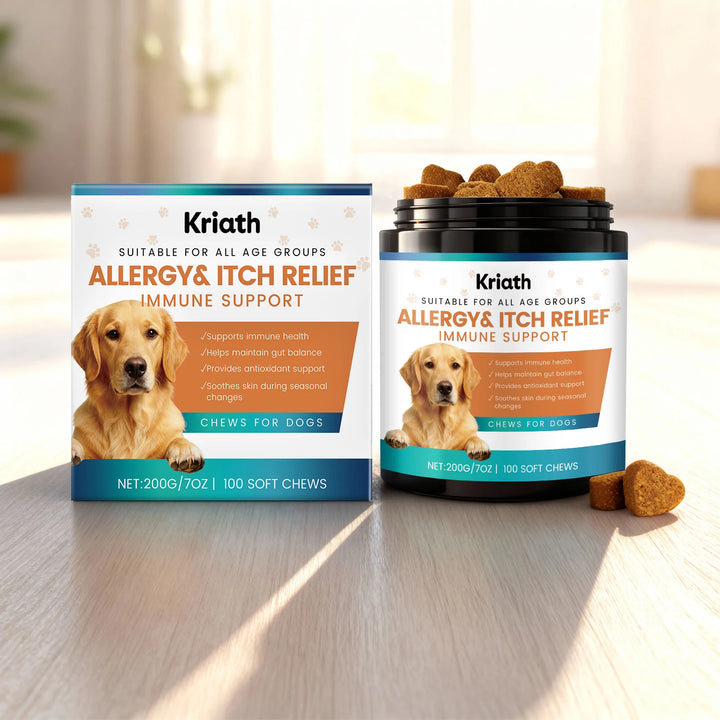 Dog Gut Support Soft Chews - Added Fiber Daily Care Maintains Intestinal Balance Supports Immunity Antioxidant Easy To Chew