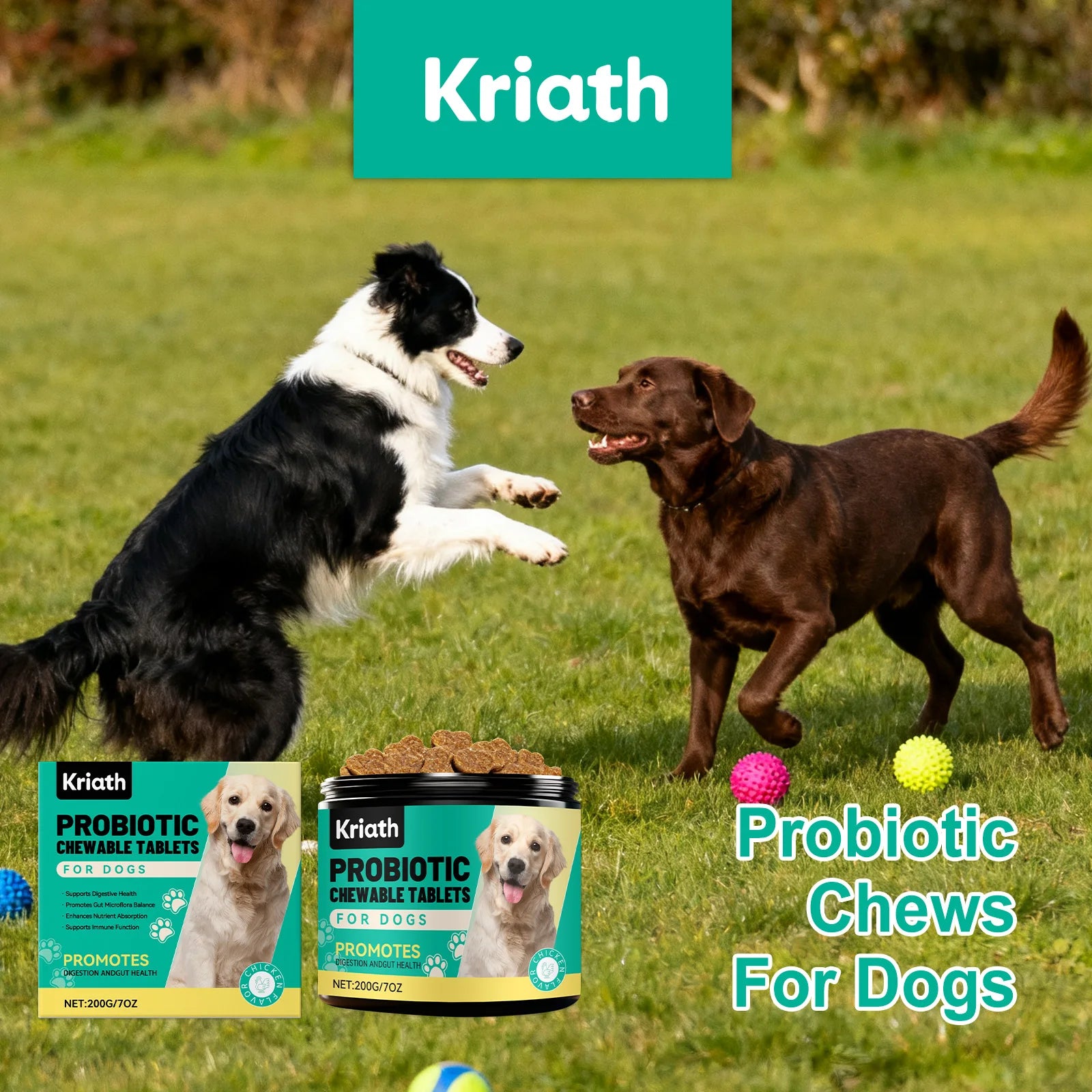 Dog Gut Health Probiotic Chews - Supports Digestion Balance Enhances Absorption Boosts Immunity Suitable for All Age Pets